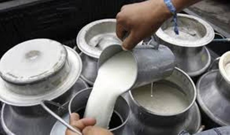 दूध बेचेर वार्षिक डेढ करोड आम्दानी